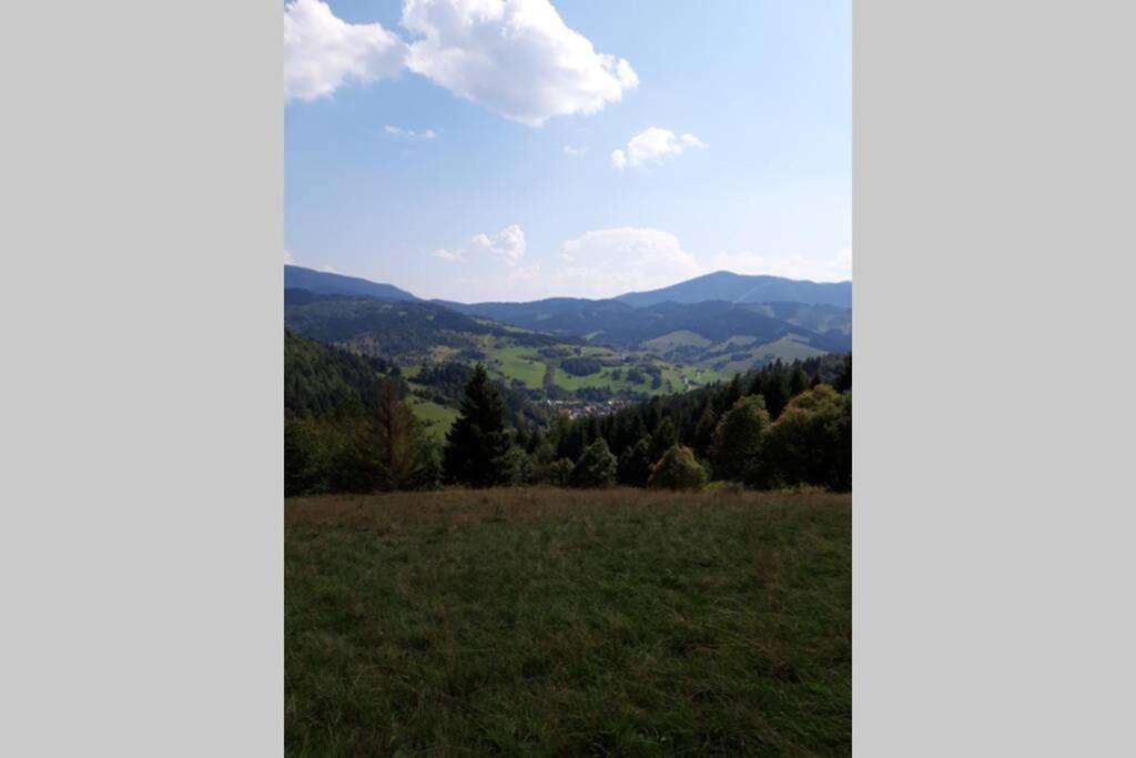 Horska Turistika S Domaci Atmosferou Dolny Kubin Exterior photo